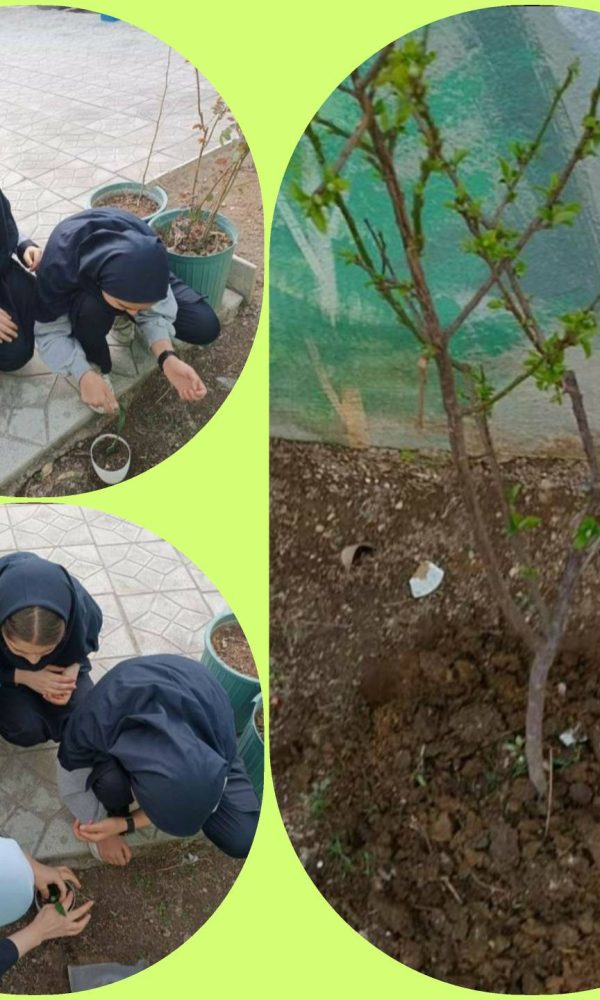 مجتمع آموزشی دخترانه اندیشه پارسیان