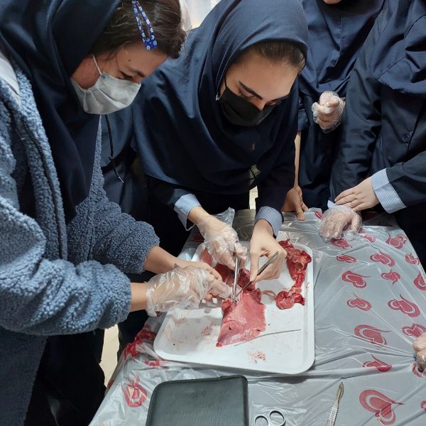 مجتمع آموزشی دخترانه اندیشه پارسیان