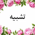 آموزش آرایه تشبیه