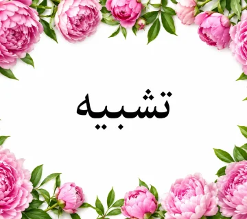 آموزش آرایه تشبیه