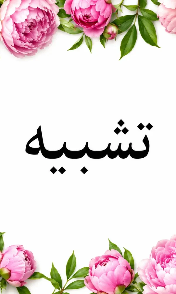 آموزش آرایه تشبیه