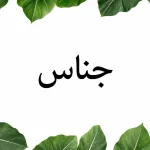 آرایه جناس
