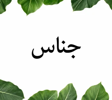 آرایه جناس