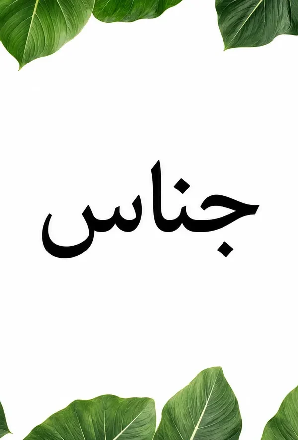 آرایه جناس