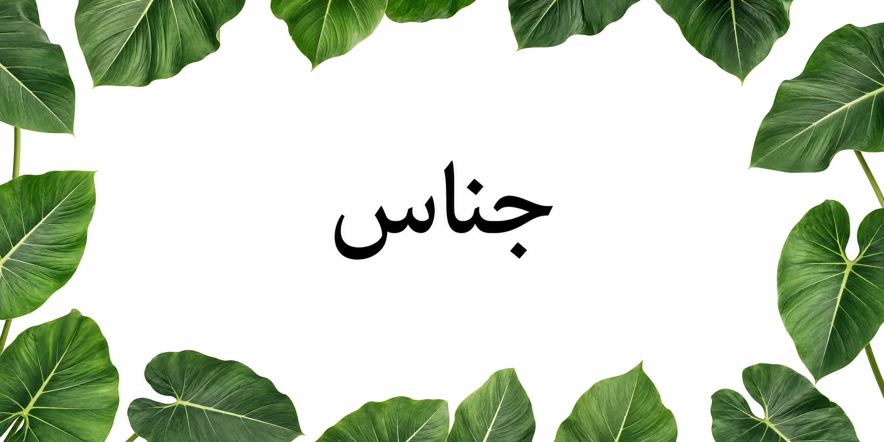 آرایه جناس